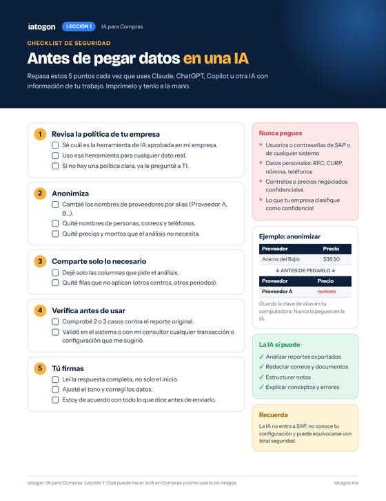 Vista previa del checklist de seguridad de Iatogon